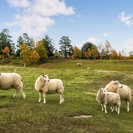 Beautiful In Vakantiehuis *